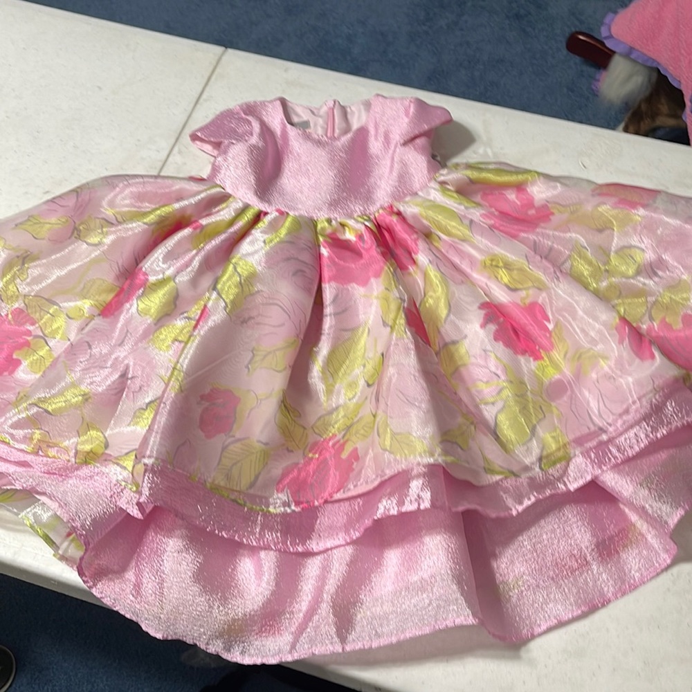 Pastourelle party dress.beautiful pinks NWT